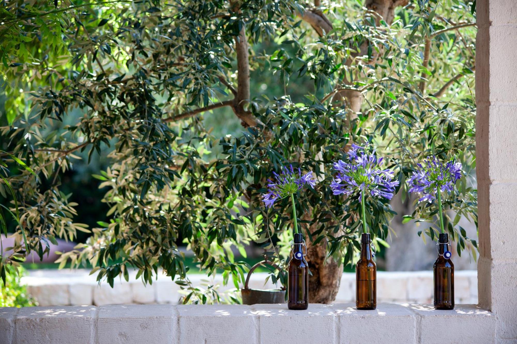Casa Mia In Puglia Vendégház Conversano Kültér fotó