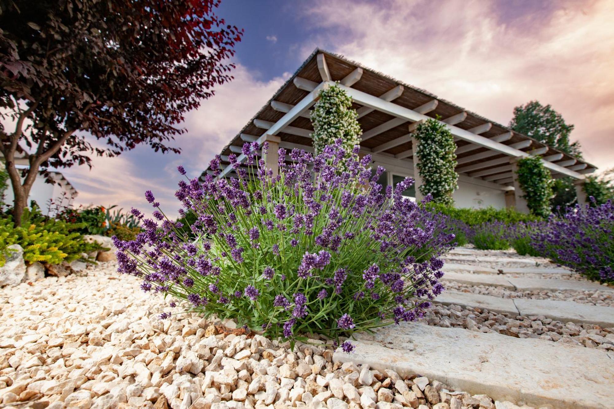Casa Mia In Puglia Vendégház Conversano Kültér fotó